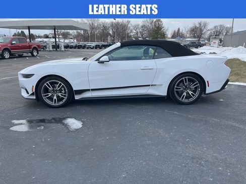 Used 2025 Ford Mustang Premium w/ Wheel & Stripe Package image 7