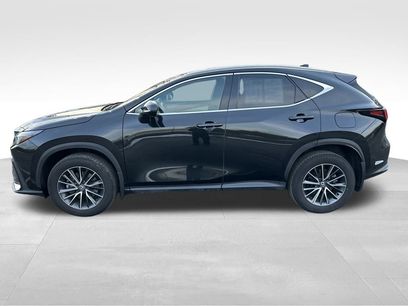 Used 2024 Lexus NX 350 AWD w/ Cold Area Package