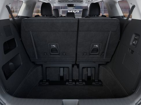 New 2025 Kia Carnival SX image 19