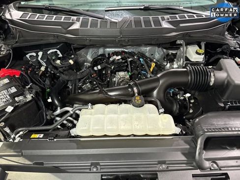 Used 2025 Ford F150 XLT w/ Equipment Group 301A Standard image 5