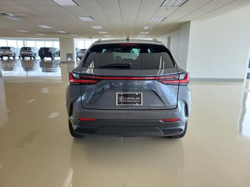 Used 2024 Lexus NX 250 FWD w/ Cold Area Package image 7