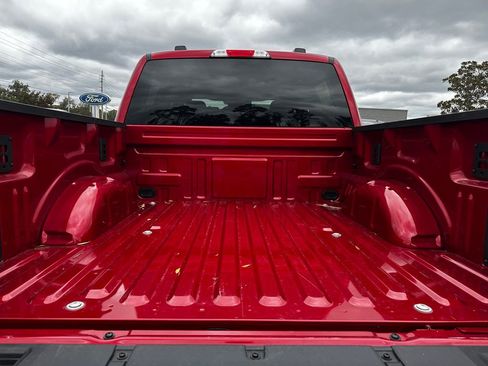 New 2025 Ford F150 XLT w/ Equipment Group 301A Standard image 41