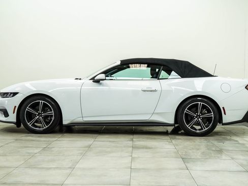 Used 2024 Ford Mustang Premium RWD image 8