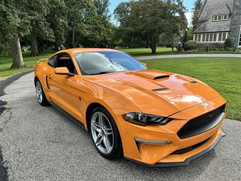 Used 2019 Ford Mustang Coupe w/ Ecoboost Performance Package RWD image 2