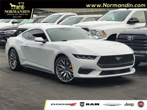 Used 2025 Ford Mustang Premium image 1