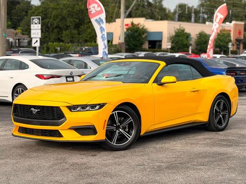 Used 2024 Ford Mustang Premium RWD image 1