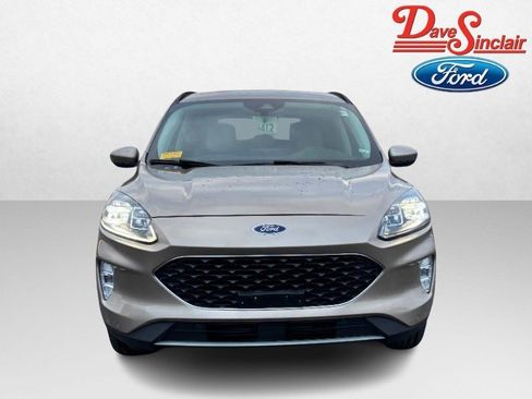 Used 2021 Ford Escape Titanium image 2