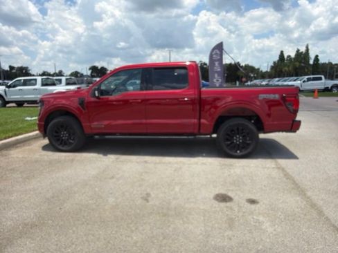 Used 2025 Ford F150 XLT w/ Equipment Group 303A High AWD/4WD image 8