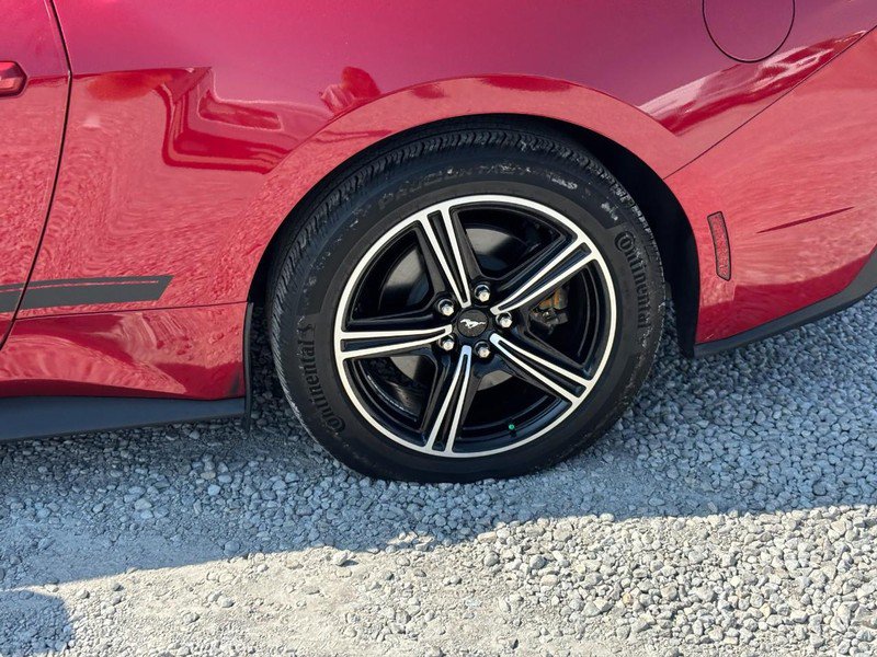 Certified 2024 Ford Mustang Premium RWD image 12