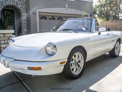 Used 1989 Alfa Romeo Spider Graduate image 14