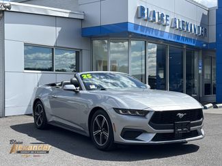 Used 2025 Ford Mustang Premium RWD video 1