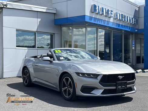 Used 2025 Ford Mustang Premium RWD image 1