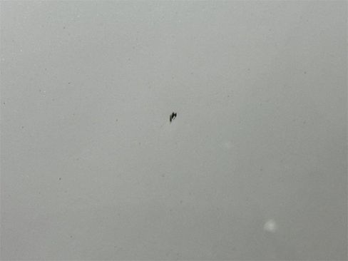 Used 2018 Hyundai Sonata SE image 29