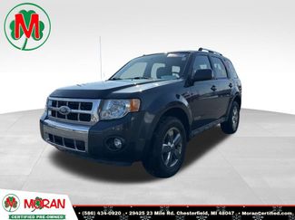 Used 2008 Ford Escape Limited 360° Tour