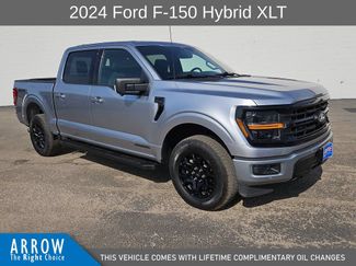 Used 2024 Ford F150 XLT w/ Equipment Group 302A MID AWD/4WD video 1