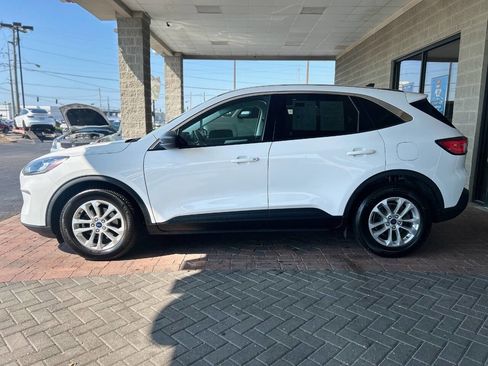 Used 2022 Ford Escape SE w/ Cold Weather Package image 6