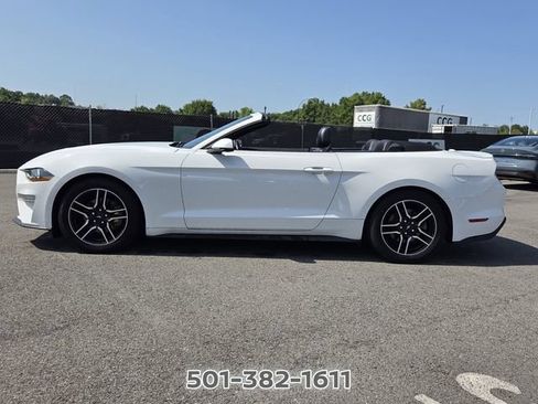 Used 2019 Ford Mustang Premium RWD image 2