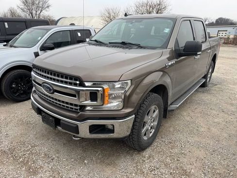 Used 2019 Ford F150 XLT w/ Equipment Group 302A Luxury image 1