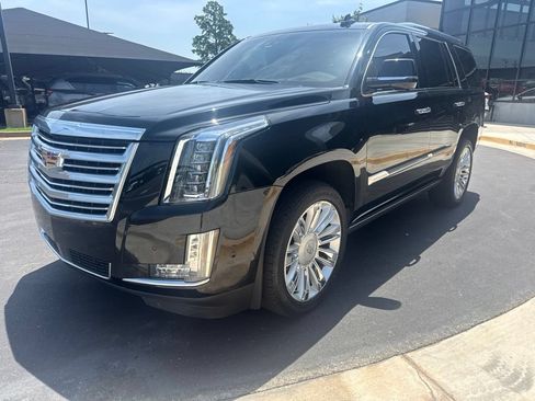 Used 2019 Cadillac Escalade Platinum AWD/4WD image 1
