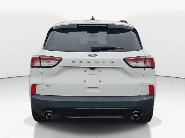 Used 2022 Ford Escape SE w/ SE Sport Appearance Package FWD image 4