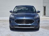 Used 2020 Ford Escape SE image 3