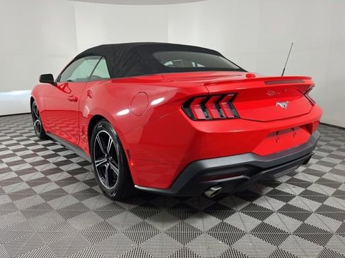 Used 2024 Ford Mustang Premium image 7