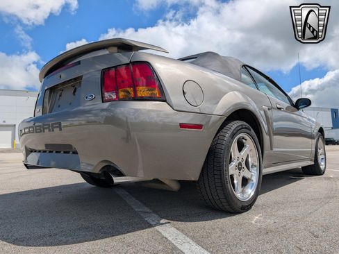Used 2001 Ford Mustang Cobra image 6