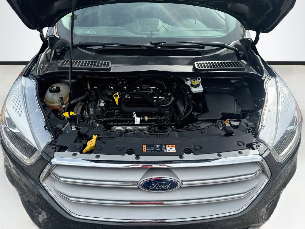 Used 2019 Ford Escape SEL AWD/4WD image 28