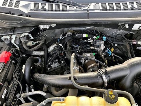 Used 2019 Ford F150 XLT w/ Equipment Group 301A Mid image 32