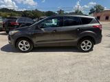 Used 2015 Ford Escape SE w/ Equipment Group 201A image 2