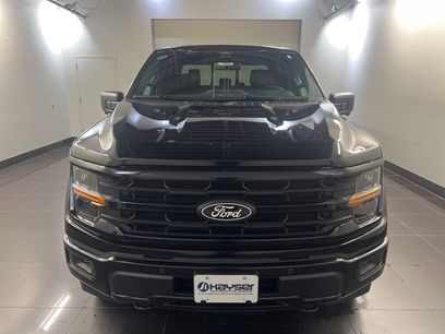 New 2026 Ford F150 XLT w/ Equipment Group 302A MID