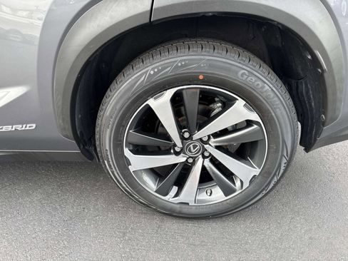 Used 2021 Lexus NX 300h AWD w/ Premium Package image 6