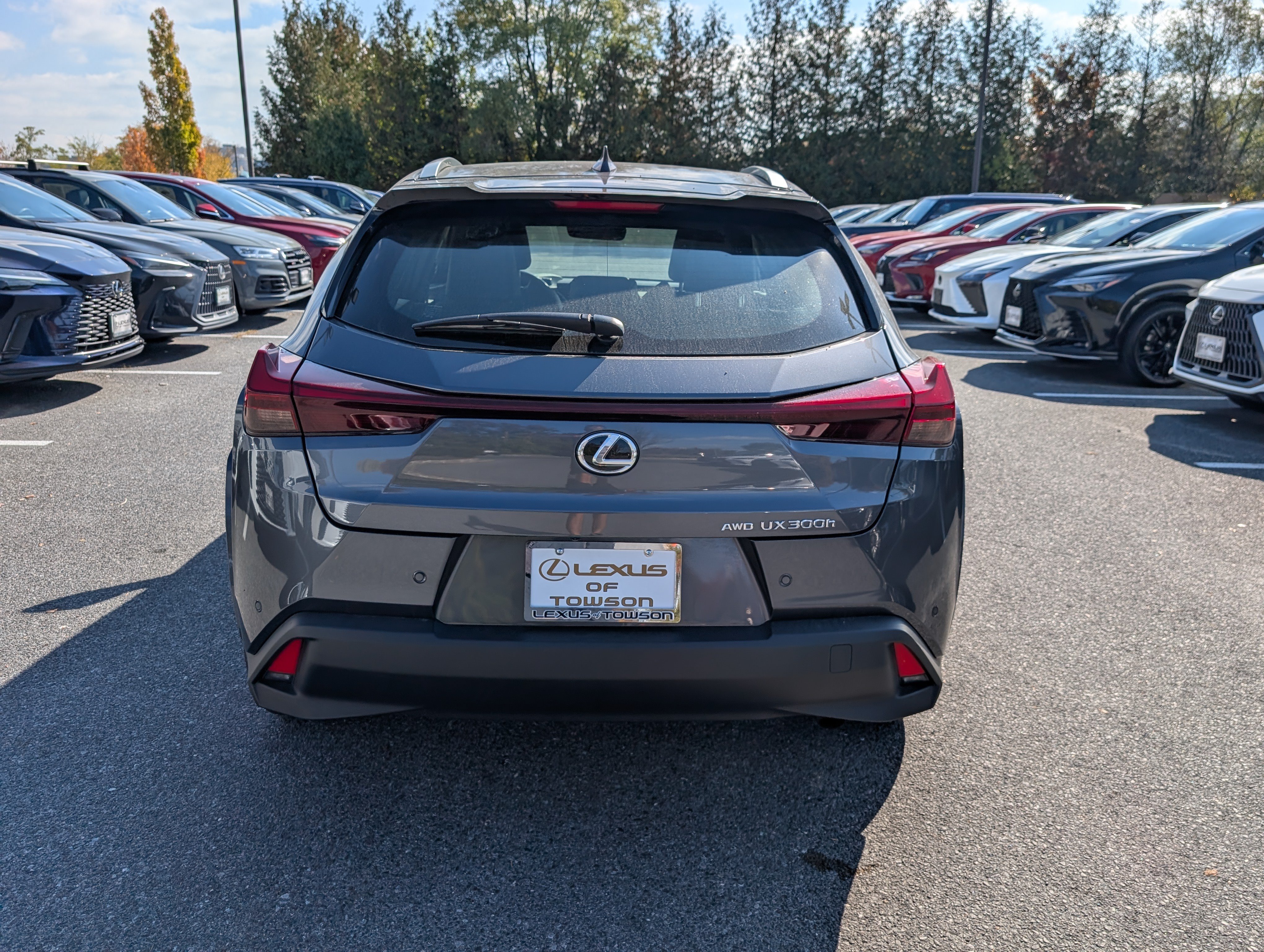 Used 2025 Lexus UX 300h AWD w/ Cold Area Package image 4