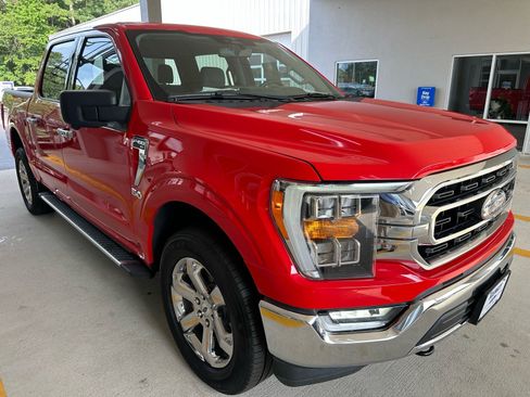 Used 2023 Ford F150 XLT w/ Equipment Group 302A High AWD/4WD image 9