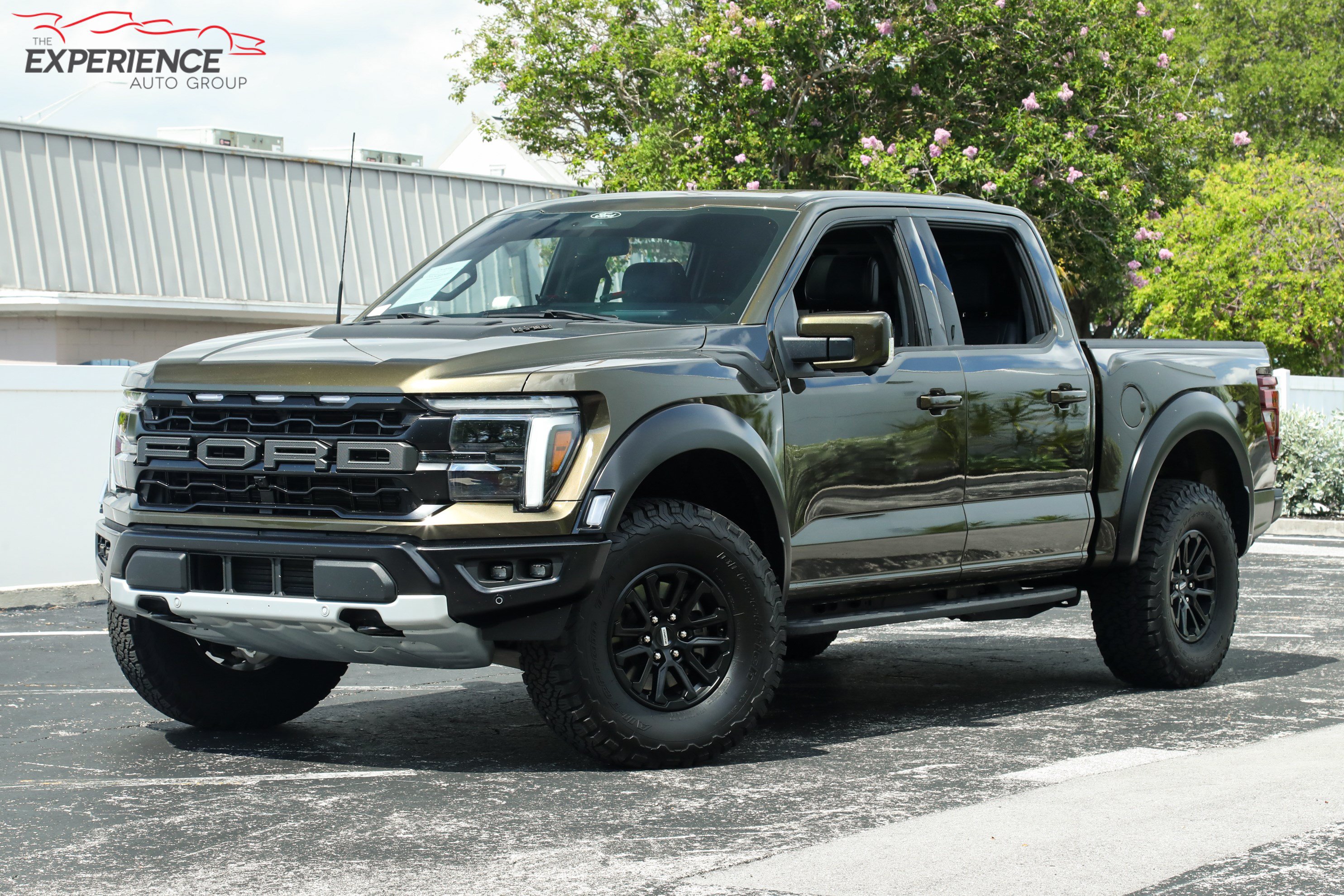 Used 2025 Ford F150 Raptor AWD/4WD image 1
