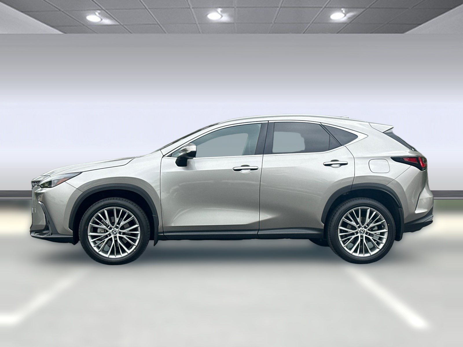 Certified 2025 Lexus NX 350h AWD w/ Cold Area Package image 2