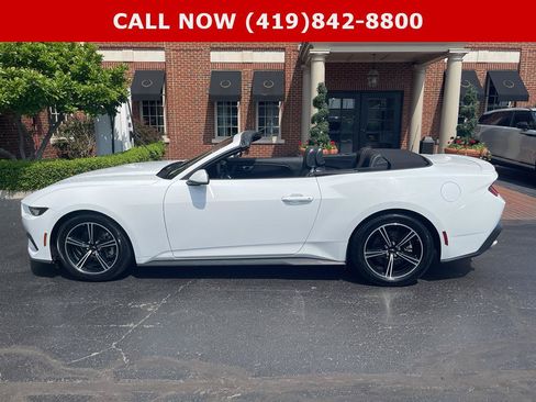 Used 2025 Ford Mustang Premium RWD image 11