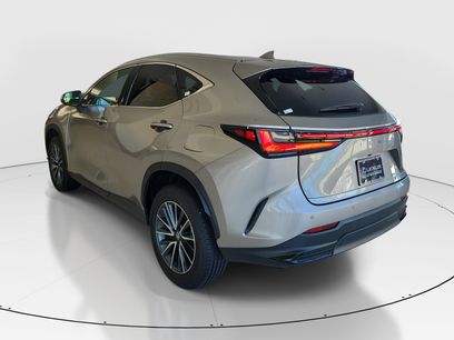 Used 2026 Lexus NX 350 AWD w/ Cold Area Package