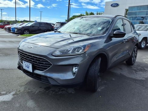 Certified 2022 Ford Escape SEL w/ SEL Stealth AWD Package image 7