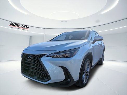 Used 2025 Lexus NX 350 AWD w/ Cold Area Package image 6