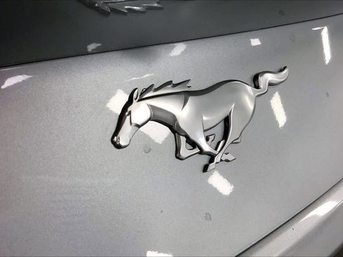 New 2025 Ford Mustang EcoBoostﾮ Fastback image 13