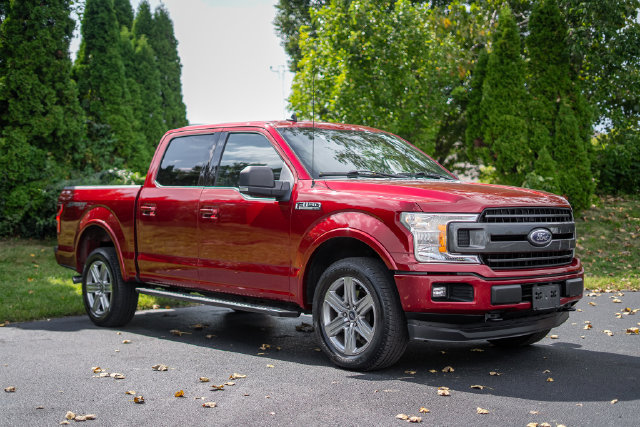 Used 2019 Ford F150 XLT w/ Equipment Group 302A Luxury AWD/4WD image 3