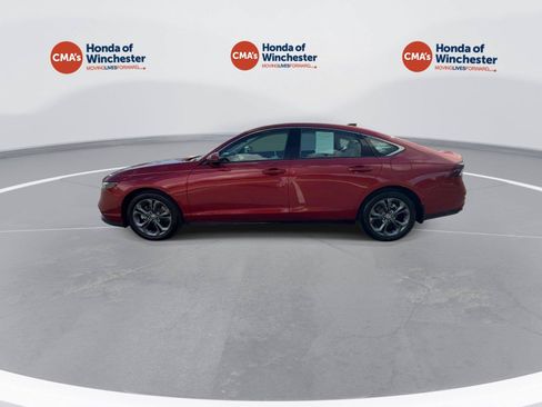 Used 2025 Honda Accord EX-L image 5