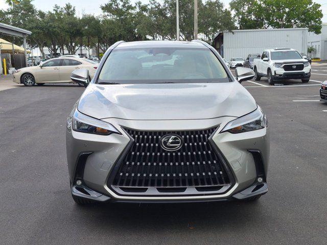 Certified 2026 Lexus NX 350 AWD w/ Cold Area Package image 2