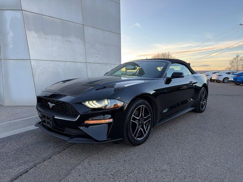 Used 2023 Ford Mustang Premium w/ Equipment Group 201A image 2