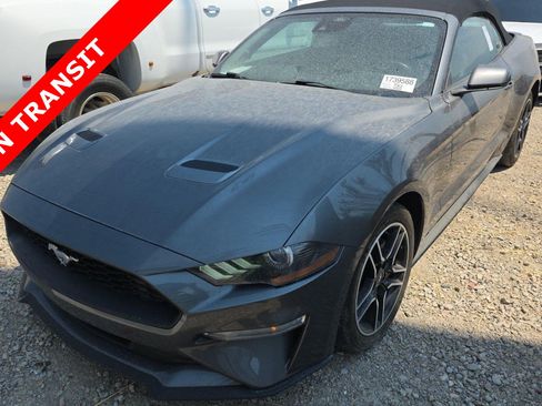 Used 2023 Ford Mustang Premium RWD image 1