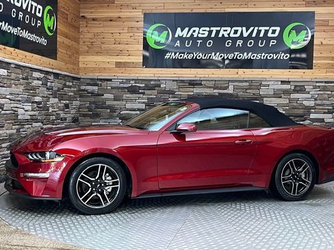 Used 2019 Ford Mustang Convertible w/ Equipment Group 101A RWD image 13