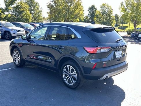 Used 2022 Ford Escape SEL image 6