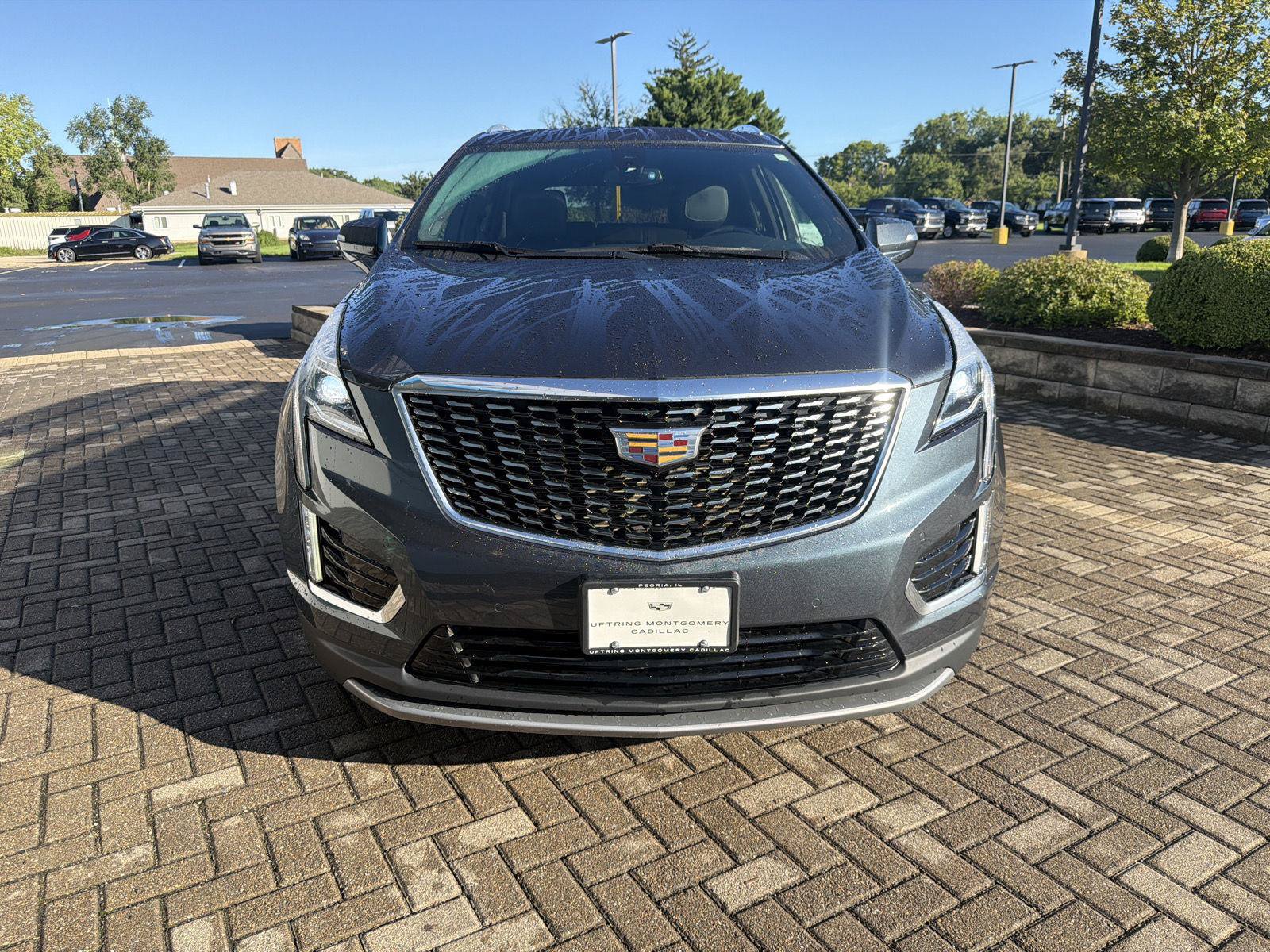Used 2021 Cadillac XT5 Premium Luxury AWD/4WD image 8