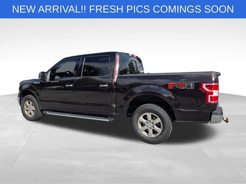 Used 2019 Ford F150 XLT w/ Equipment Group 302A Luxury AWD/4WD image 4
